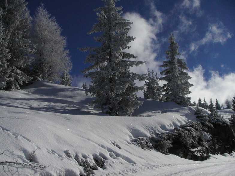 Les Houches 2006