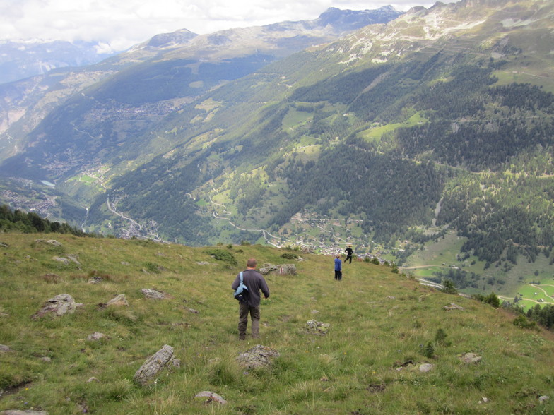 the Piste de Chamois .... in summer, Zinal