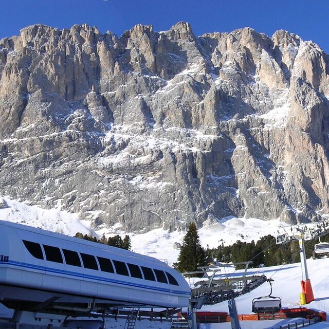 Sassulongo, Selva di Cadore