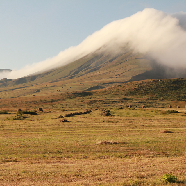 Fields, Bakuriani