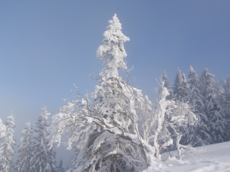 Mariborsko Pohorje snow