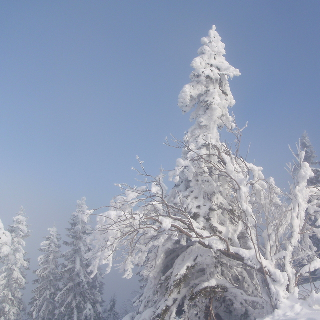 Mariborsko Pohorje