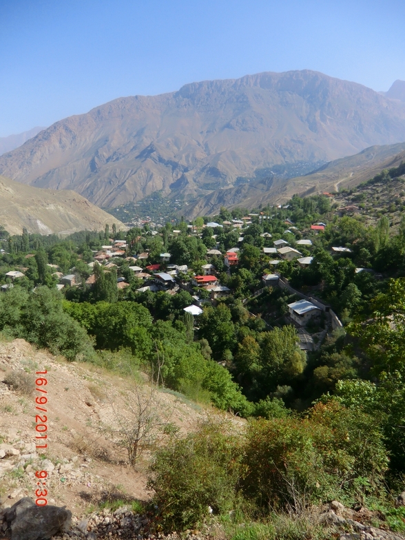 روستای شاهان دشت