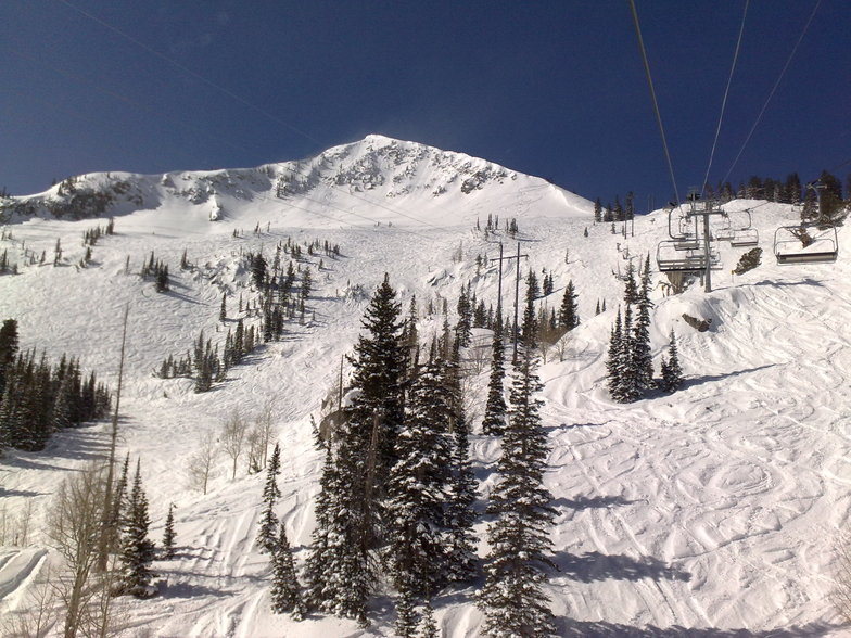 Milly Express, Brighton Resort