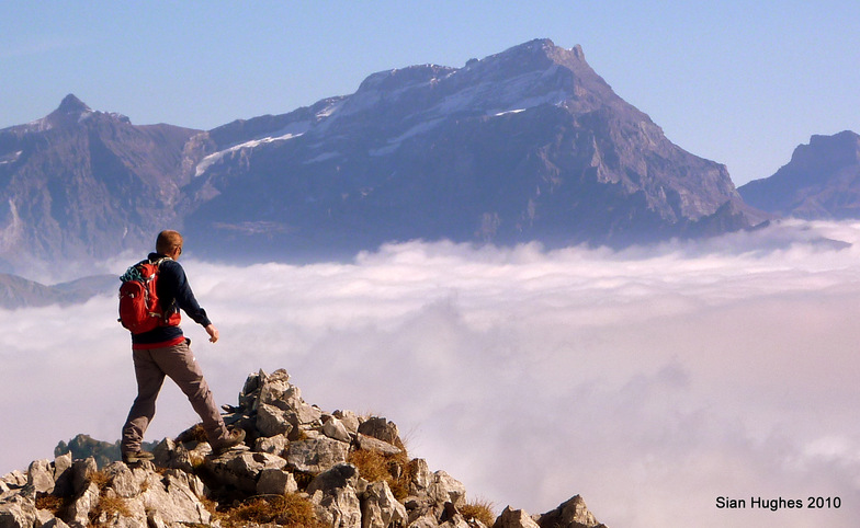 Mt Chaufee, Abondance