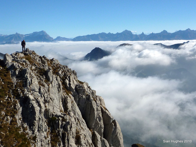Mt Chauffee, Abondance