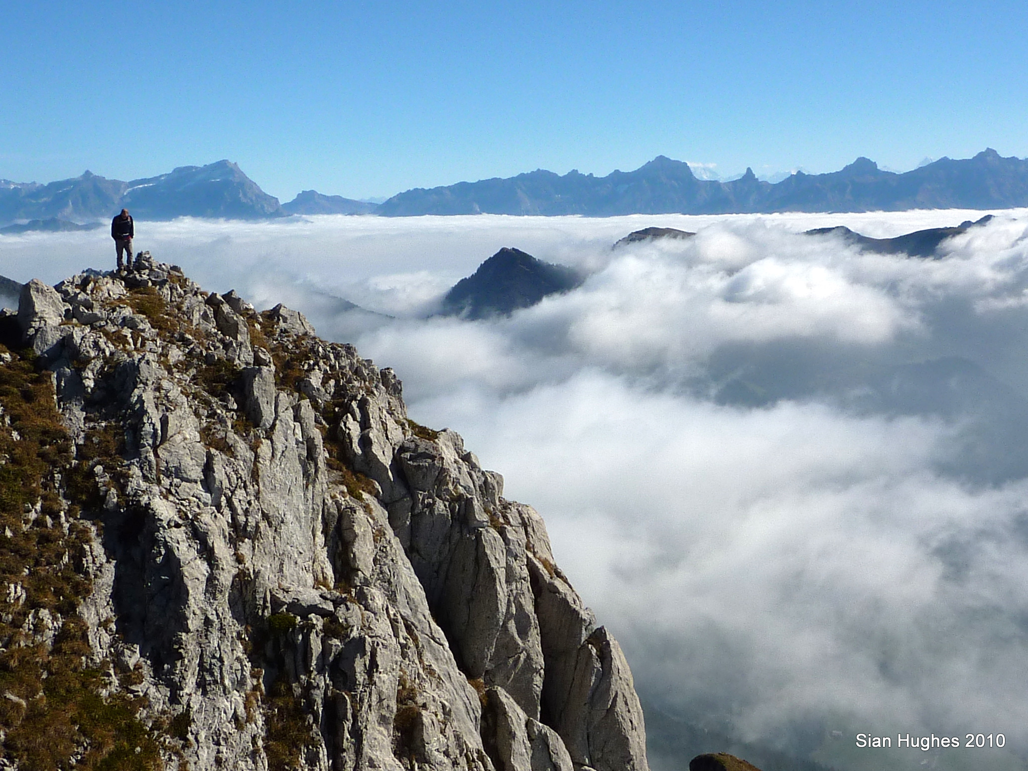 Mt Chauffee, Abondance