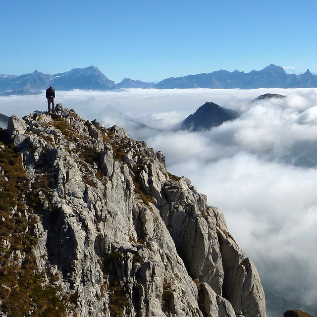Mt Chauffee, Abondance
