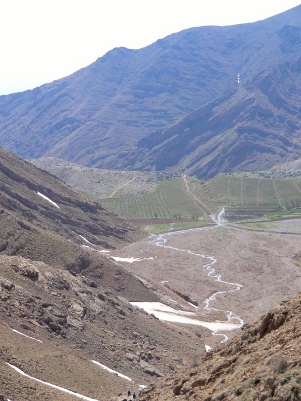 دشت هویج