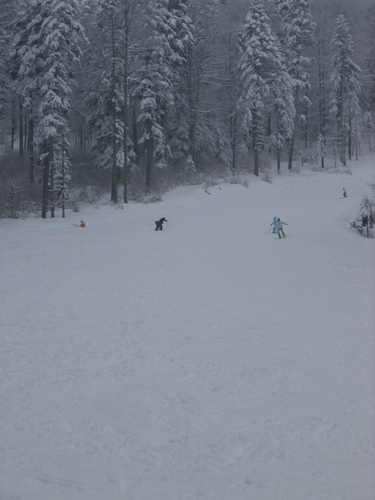 Predeal Ski Resort by: picnic64