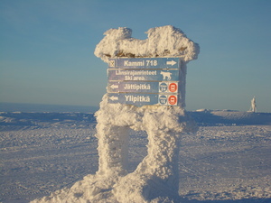 Top of Yllas photo