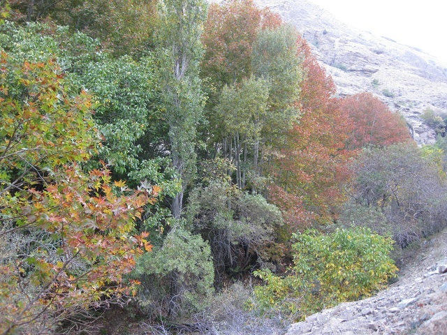 Am'mameh Village