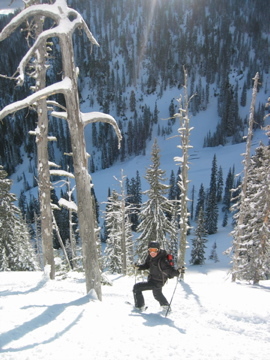 Fernie