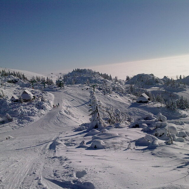 Januar 2010, Velika Planina