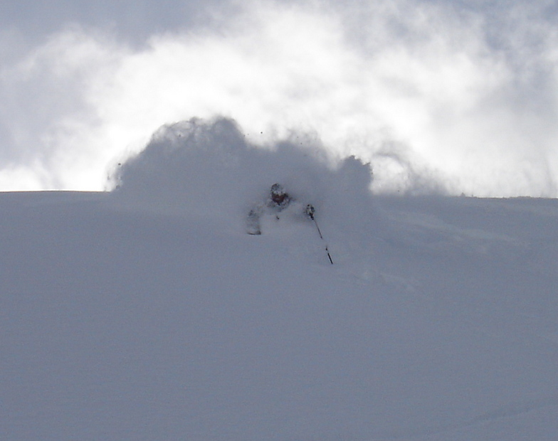 Finding the Pow with Adrenalin Descents, Kicking Horse
