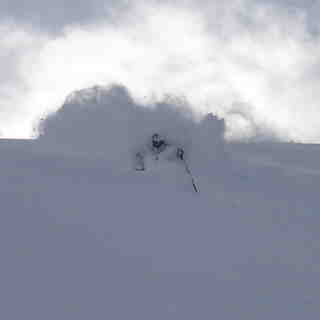Finding the Pow with Adrenalin Descents, Kicking Horse