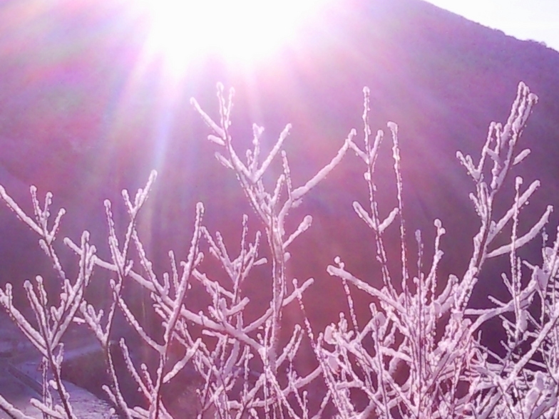 yaaaaaa viene la nieveeeeeeeeeeee...., Leitariegos
