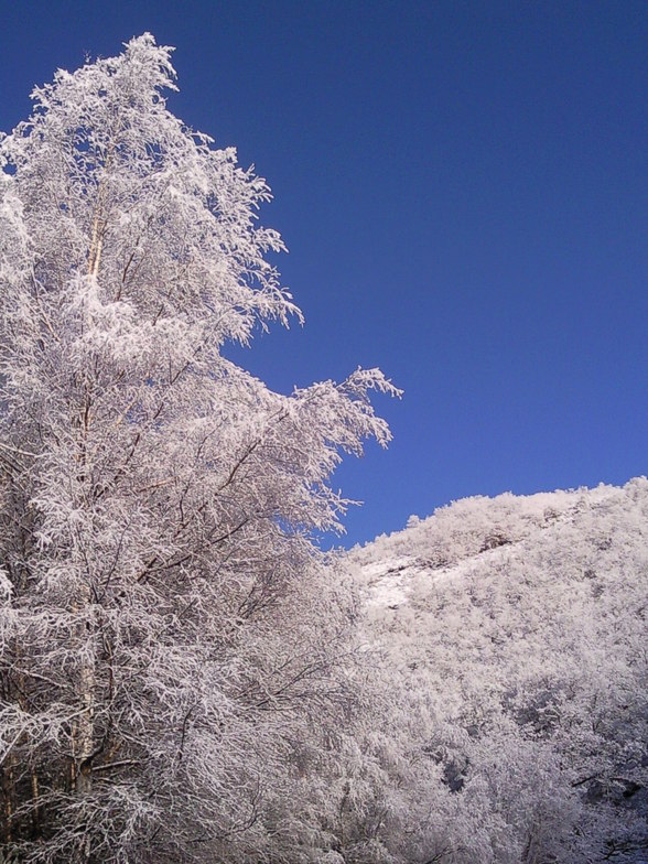 Primeras Nieves en El Valle, Leitariegos