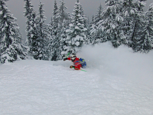 Deep in Targhee BC, Grand Targhee photo