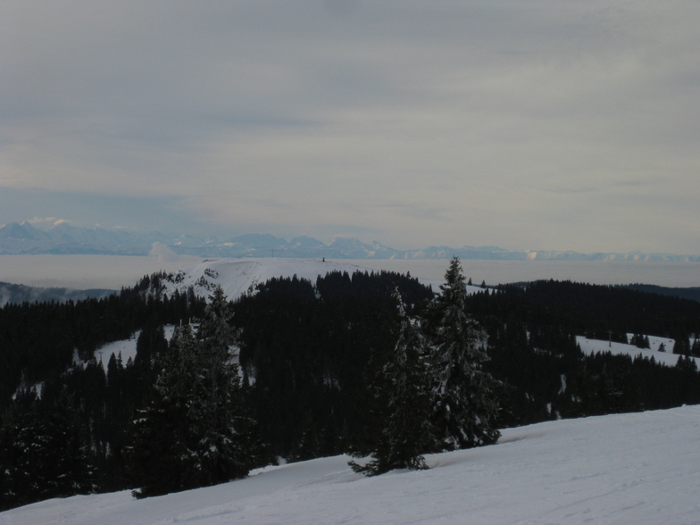Herzogenhorn Alpes, Feldberg