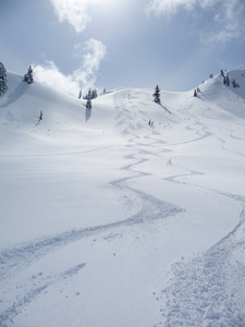Grannies Ridge, Mount Baker photo