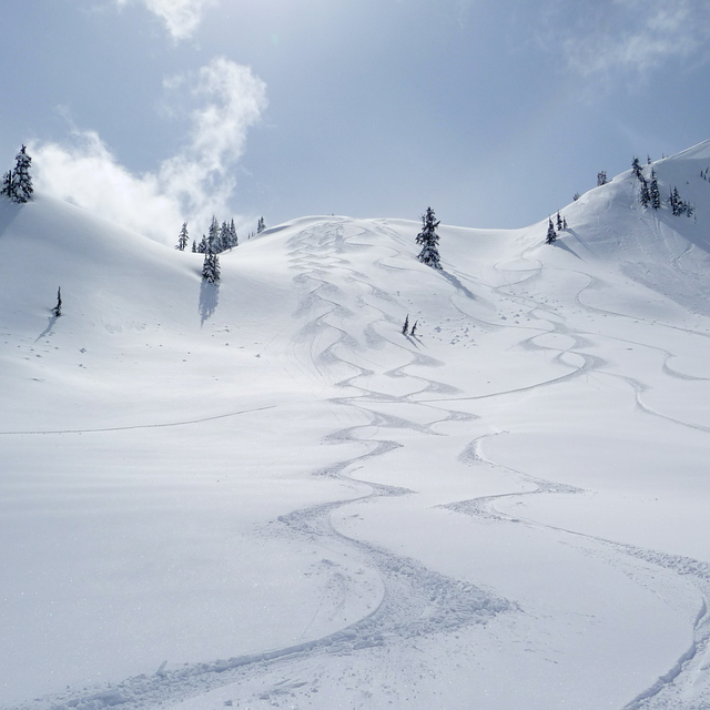 Grannies Ridge, Mount Baker