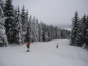 Typical piste in Vallasen, Vallåsen photo