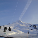 Bluebird 3-23-10, Timberline