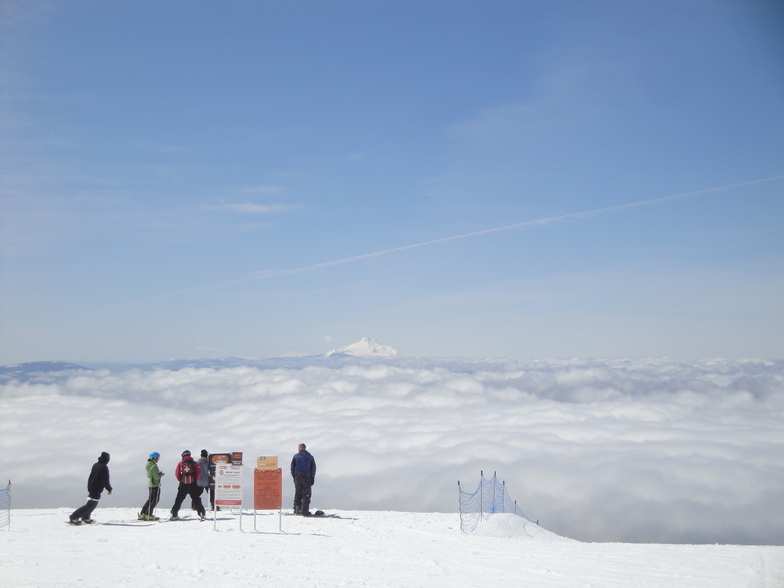 Park Day, Timberline