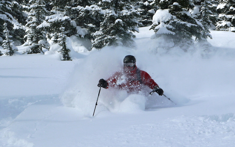 Castle Mountain Resort's Powder Stagecoach