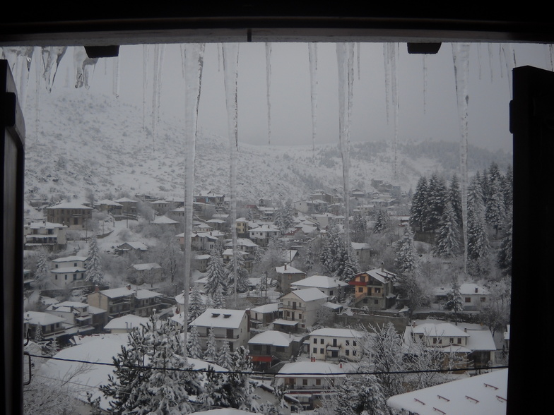 seli view