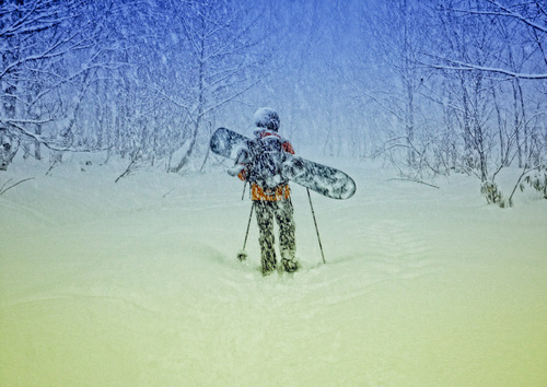 Niseko Annupuri Ski Resort by: Snow Forecast Admin