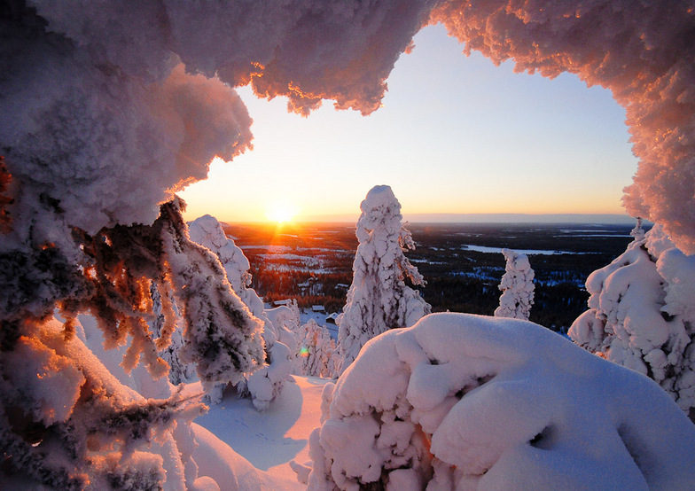 Snow at Rukatunturi, Finland