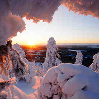 Snow at Rukatunturi, Finland