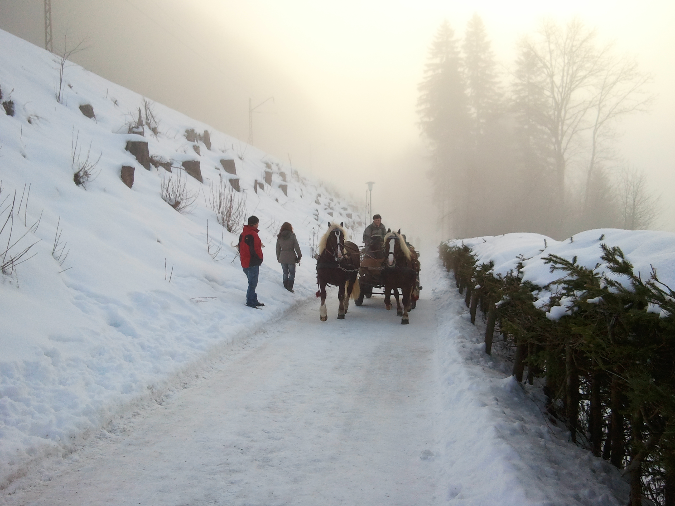 Cart with horses, Feldberg