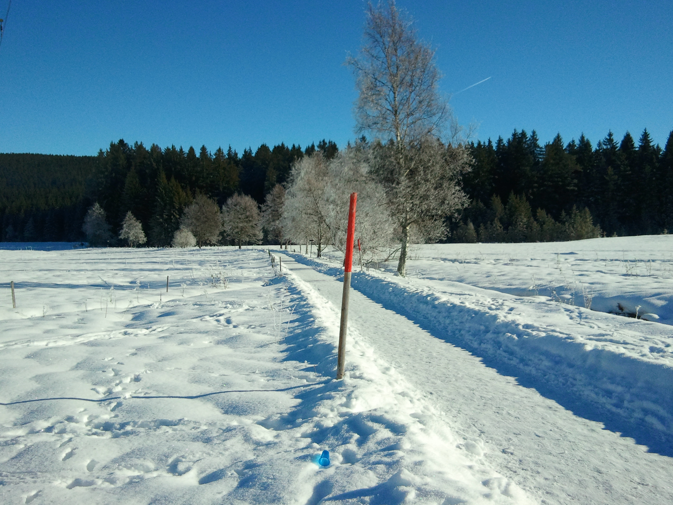 Winterwanderweg, Feldberg