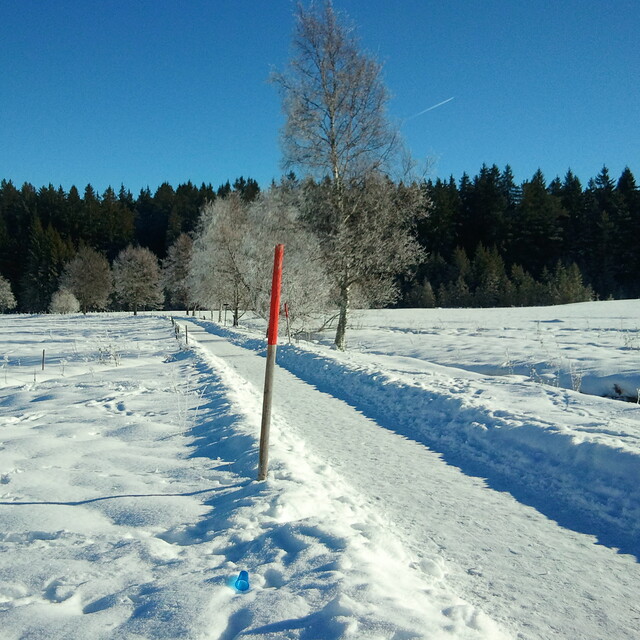 Winterwanderweg, Feldberg