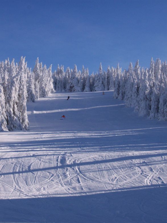 Where is everybody???, Kopaonik