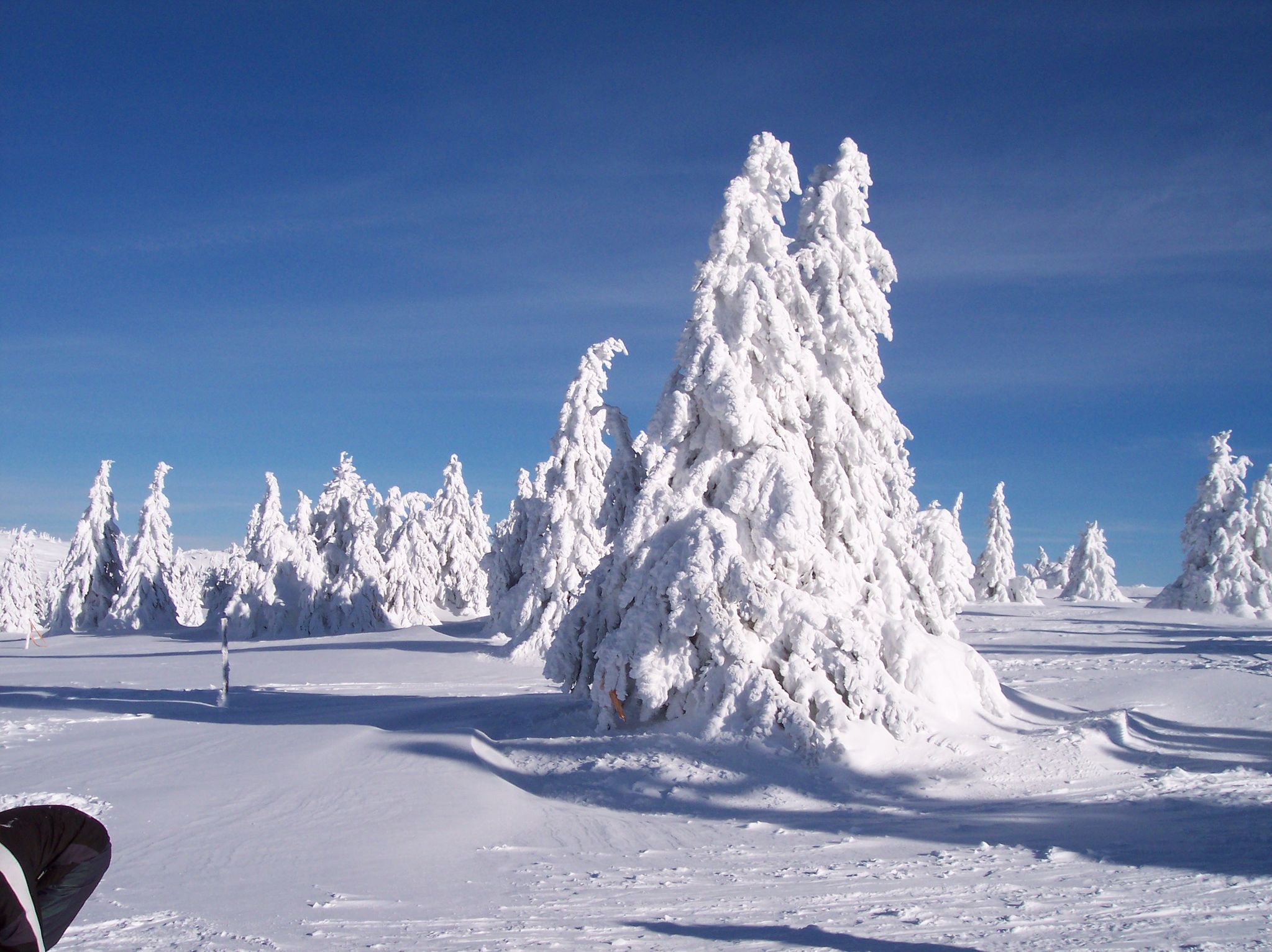 Fresh snowfall in Serbia, Kopaonik