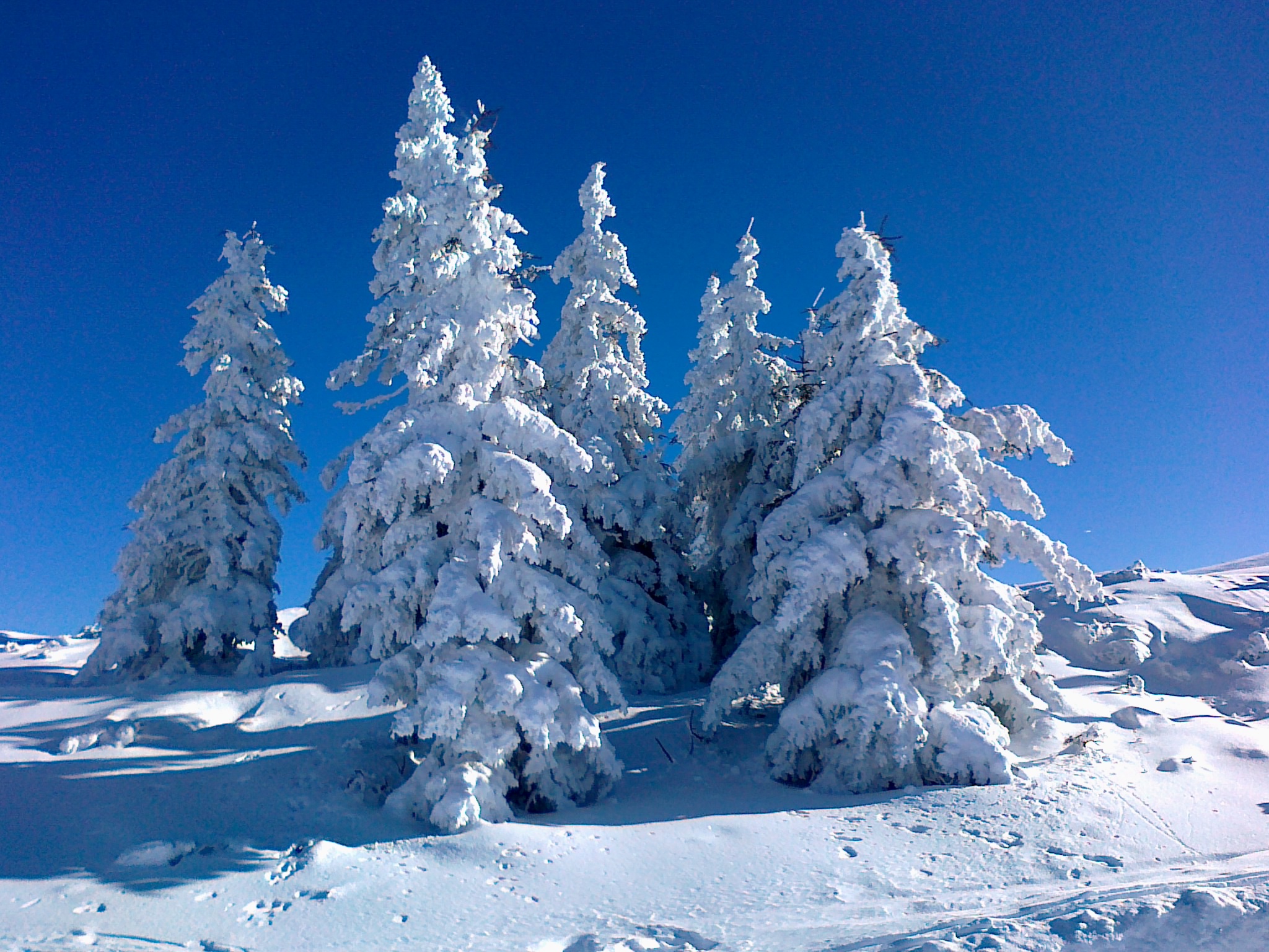 Flachau, Flachau-Reitdorf