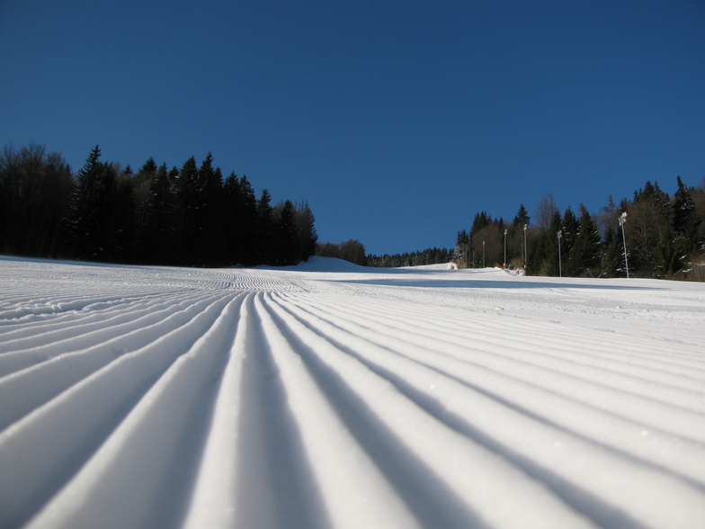 vitoshko lale 1, Vitosha