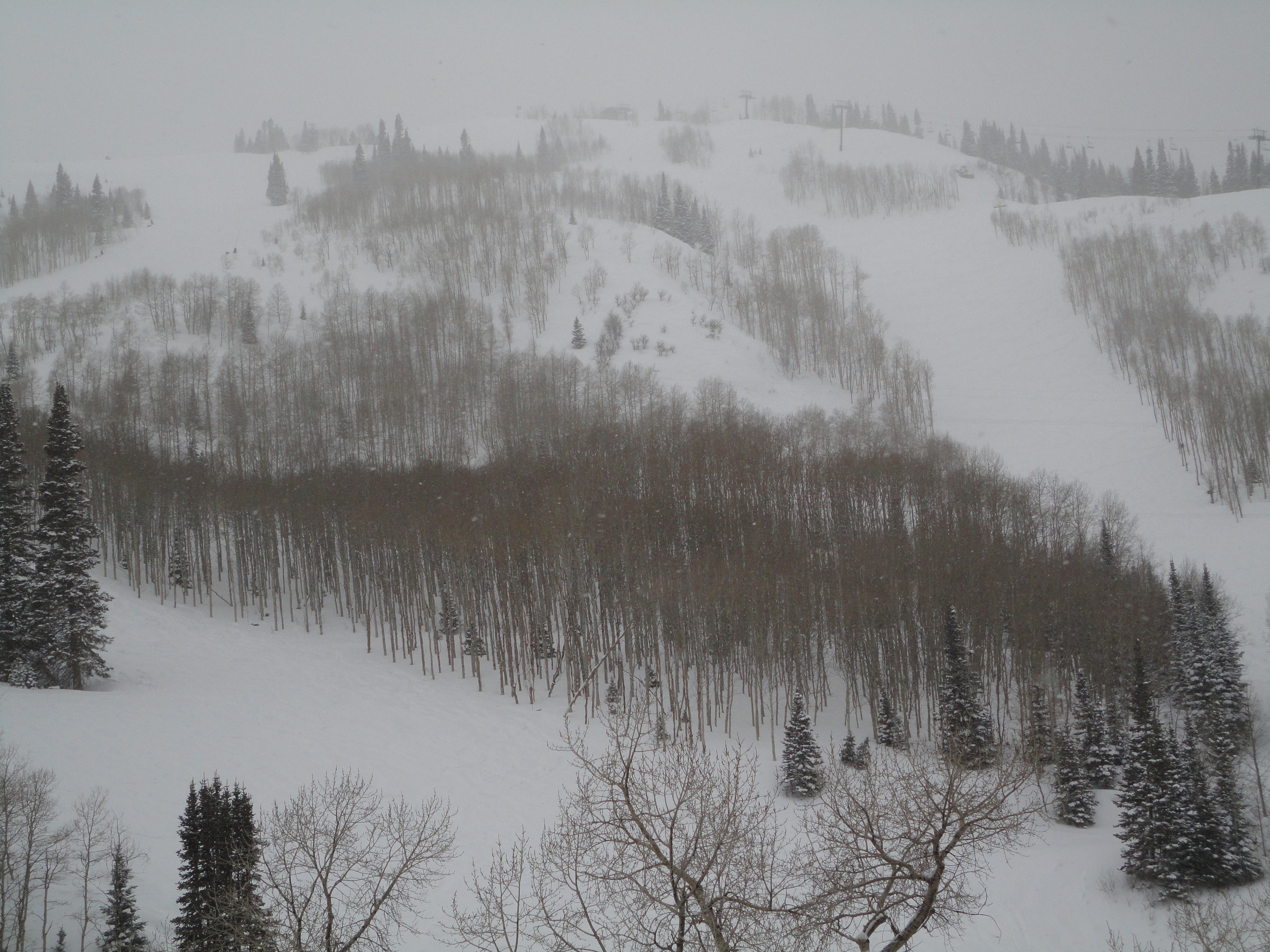 Lady Morgan, Deer Valley