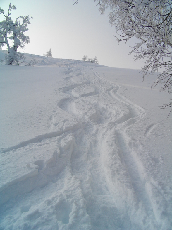 Kamui Back Side (Walk Up), Kamui Ski Links