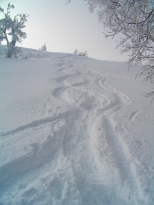 Kamui Back Side (Walk Up), Kamui Ski Links photo