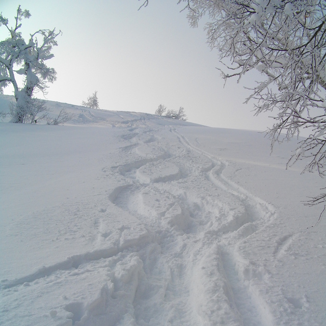 Kamui Ski Links Snow: Kamui Back Side (Walk Up)