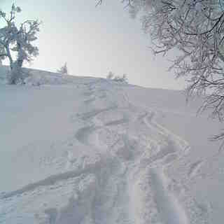Kamui Back Side (Walk Up), Kamui Ski Links