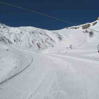 Amazing spring day, 2008., Auron