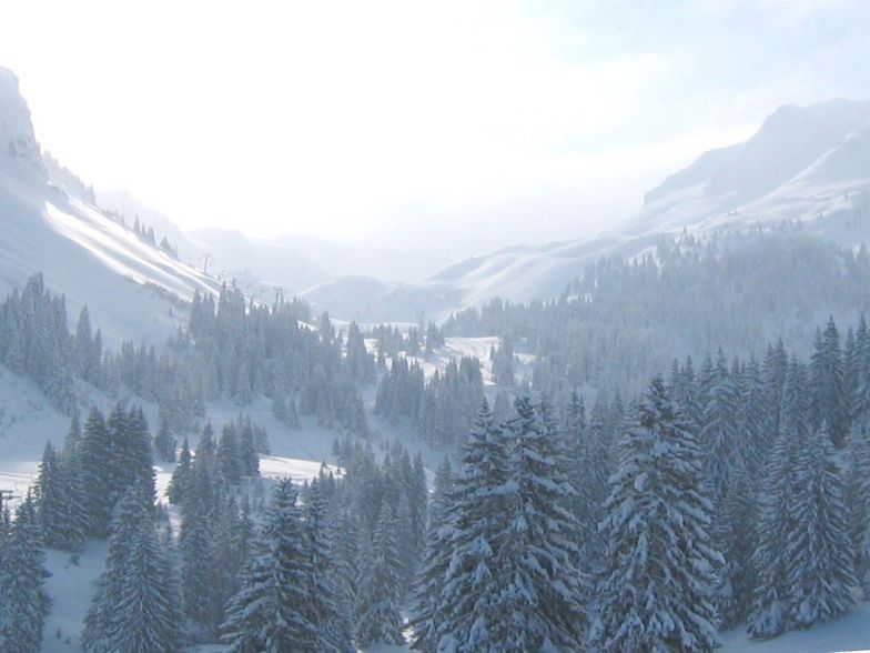 Linderets Valley, Avoriaz . March 2006