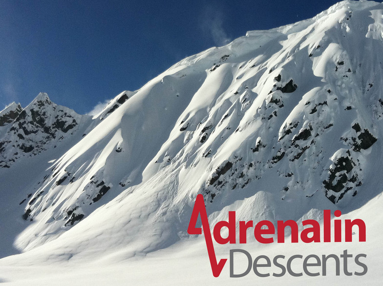 adrenalin Descents Ski Guiding Kicking Horse Country