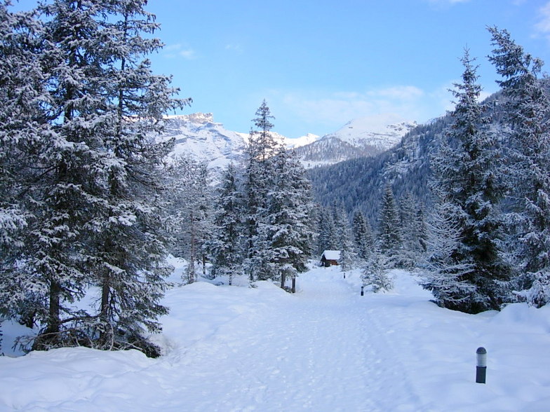 Champoluc path